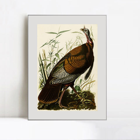 INVIN ART Metal Framed Canvas Giclee Print Wild Turkey by John James Audubon Wall Art Living Room Home Office Decorations