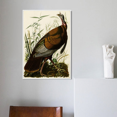 INVIN ART Framed Canvas Giclee Print Wild Turkey by John James Audubon Wall Art Living Room Home Office Decorations