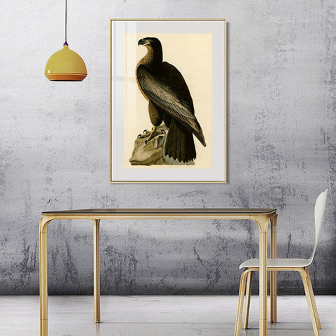 INVIN ART Metal Framed Canvas Giclee Print Bird of Washington by John James Audubon Wall Art Living Room Home Office Decorations