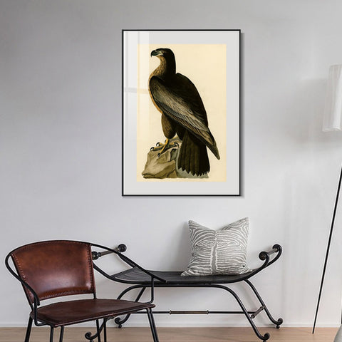 INVIN ART Metal Framed Canvas Giclee Print Bird of Washington by John James Audubon Wall Art Living Room Home Office Decorations