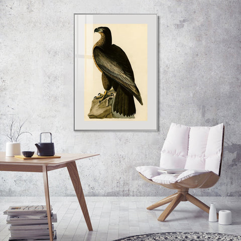 INVIN ART Metal Framed Canvas Giclee Print Bird of Washington by John James Audubon Wall Art Living Room Home Office Decorations
