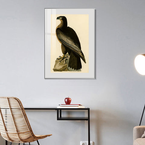 INVIN ART Metal Framed Canvas Giclee Print Bird of Washington by John James Audubon Wall Art Living Room Home Office Decorations