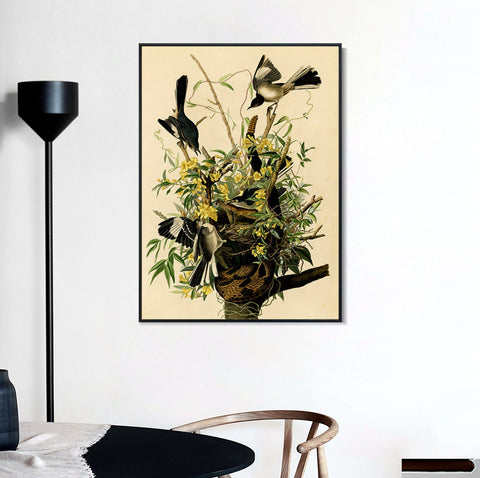 INVIN ART Framed Canvas Giclee Print Mocking Bird by John James Audubon Wall Art Living Room Home Office Decorations