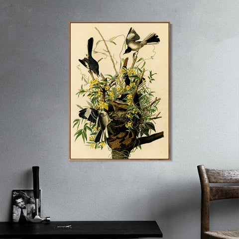 INVIN ART Framed Canvas Giclee Print Mocking Bird by John James Audubon Wall Art Living Room Home Office Decorations