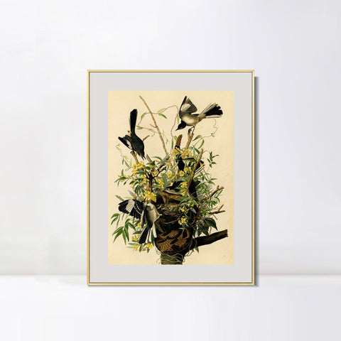 INVIN ART Metal Framed Canvas Giclee Print Mocking Bird by John James Audubon Wall Art Living Room Home Office Decorations