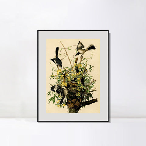 INVIN ART Metal Framed Canvas Giclee Print Mocking Bird by John James Audubon Wall Art Living Room Home Office Decorations