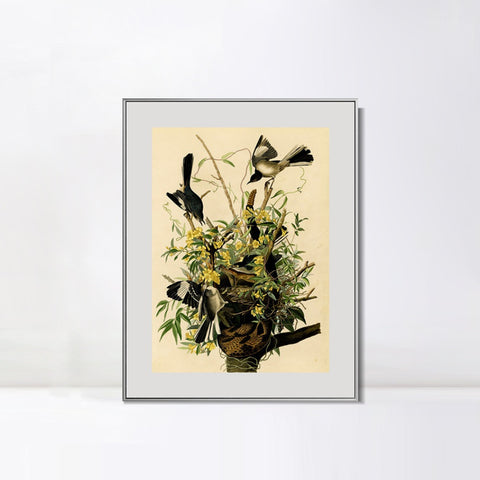 INVIN ART Metal Framed Canvas Giclee Print Mocking Bird by John James Audubon Wall Art Living Room Home Office Decorations