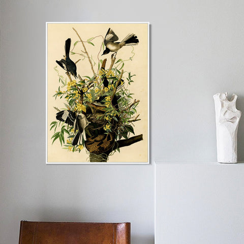 INVIN ART Framed Canvas Giclee Print Mocking Bird by John James Audubon Wall Art Living Room Home Office Decorations