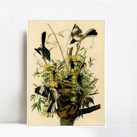 INVIN ART Framed Canvas Giclee Print Mocking Bird by John James Audubon Wall Art Living Room Home Office Decorations
