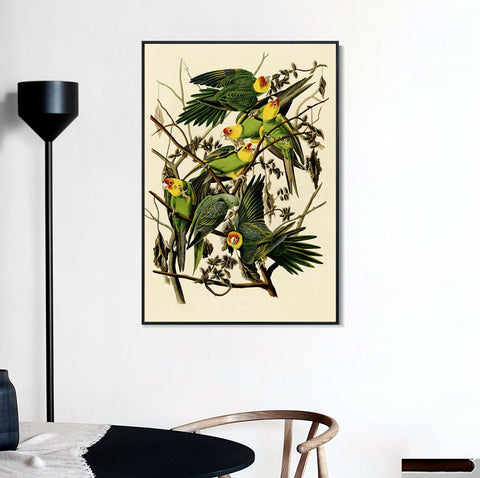 INVIN ART Framed Canvas Giclee Print Carolina Parrot by John James Audubon Wall Art Living Room Home Office Decorations