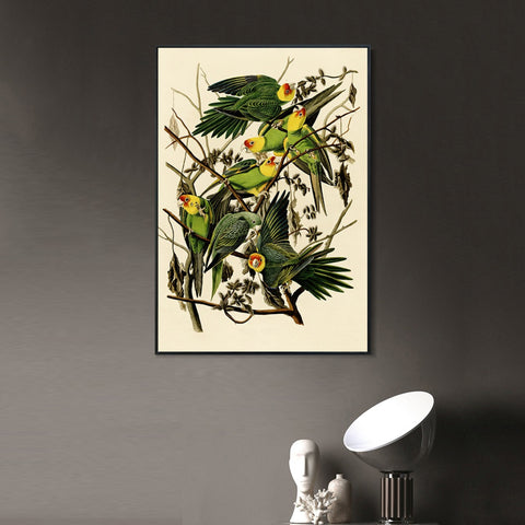 INVIN ART Framed Canvas Giclee Print Carolina Parrot by John James Audubon Wall Art Living Room Home Office Decorations