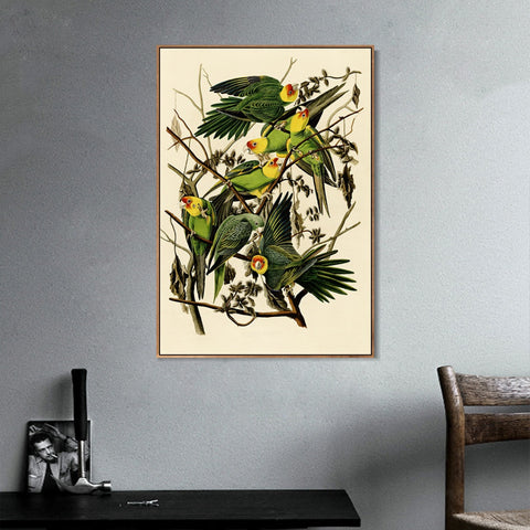 INVIN ART Framed Canvas Giclee Print Carolina Parrot by John James Audubon Wall Art Living Room Home Office Decorations