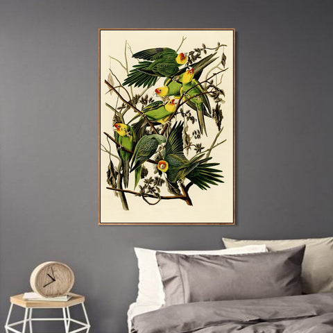 INVIN ART Framed Canvas Giclee Print Carolina Parrot by John James Audubon Wall Art Living Room Home Office Decorations