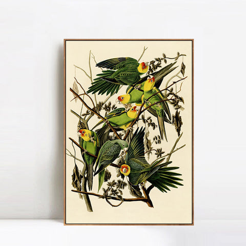 INVIN ART Framed Canvas Giclee Print Carolina Parrot by John James Audubon Wall Art Living Room Home Office Decorations