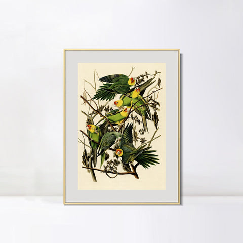 INVIN ART Metal Framed Canvas Giclee Print Carolina Parrot by John James Audubon Wall Art Living Room Home Office Decorations