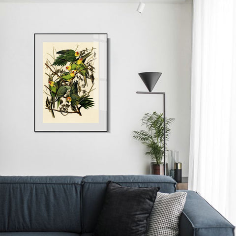 INVIN ART Metal Framed Canvas Giclee Print Carolina Parrot by John James Audubon Wall Art Living Room Home Office Decorations