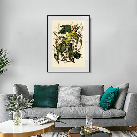 INVIN ART Metal Framed Canvas Giclee Print Carolina Parrot by John James Audubon Wall Art Living Room Home Office Decorations