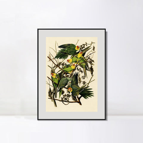 INVIN ART Metal Framed Canvas Giclee Print Carolina Parrot by John James Audubon Wall Art Living Room Home Office Decorations
