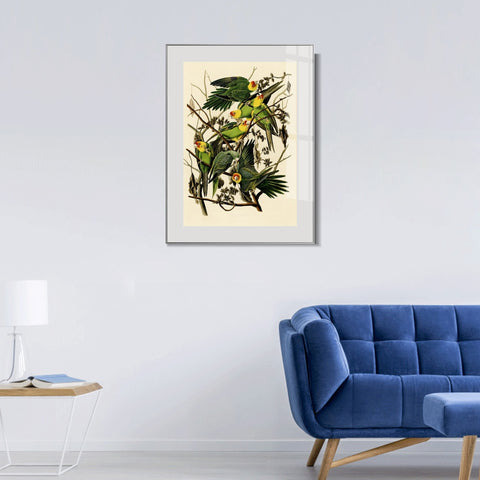INVIN ART Metal Framed Canvas Giclee Print Carolina Parrot by John James Audubon Wall Art Living Room Home Office Decorations