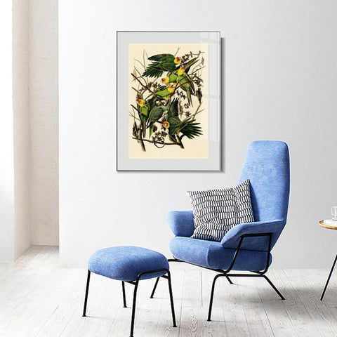 INVIN ART Metal Framed Canvas Giclee Print Carolina Parrot by John James Audubon Wall Art Living Room Home Office Decorations