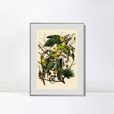 INVIN ART Metal Framed Canvas Giclee Print Carolina Parrot by John James Audubon Wall Art Living Room Home Office Decorations