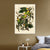 INVIN ART Framed Canvas Giclee Print Carolina Parrot by John James Audubon Wall Art Living Room Home Office Decorations