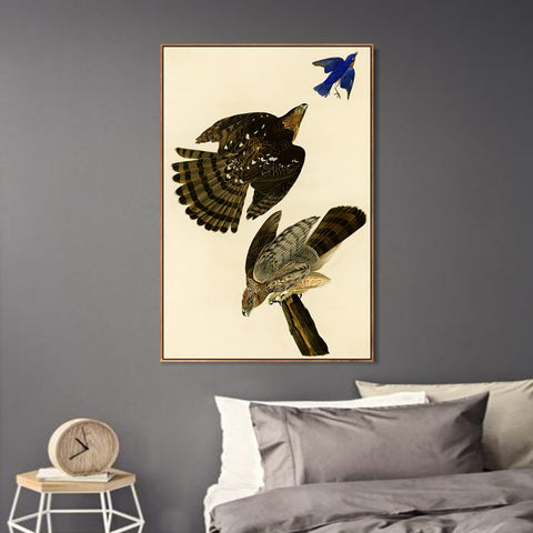INVIN ART Framed Canvas Giclee Print Stanley Hawk#45 by John James Audubon Wall Art Living Room Home Office Decorations