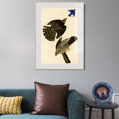 INVIN ART Metal Framed Canvas Giclee Print Stanley Hawk#45 by John James Audubon Wall Art Living Room Home Office Decorations
