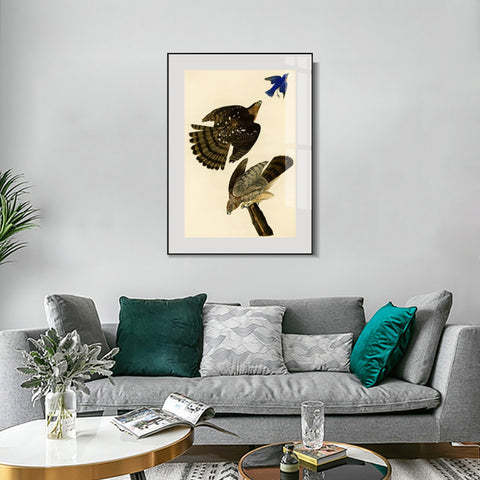 INVIN ART Metal Framed Canvas Giclee Print Stanley Hawk#45 by John James Audubon Wall Art Living Room Home Office Decorations