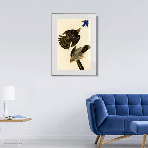 INVIN ART Metal Framed Canvas Giclee Print Stanley Hawk#45 by John James Audubon Wall Art Living Room Home Office Decorations