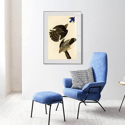 INVIN ART Metal Framed Canvas Giclee Print Stanley Hawk#45 by John James Audubon Wall Art Living Room Home Office Decorations
