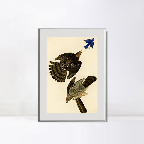 INVIN ART Metal Framed Canvas Giclee Print Stanley Hawk#45 by John James Audubon Wall Art Living Room Home Office Decorations