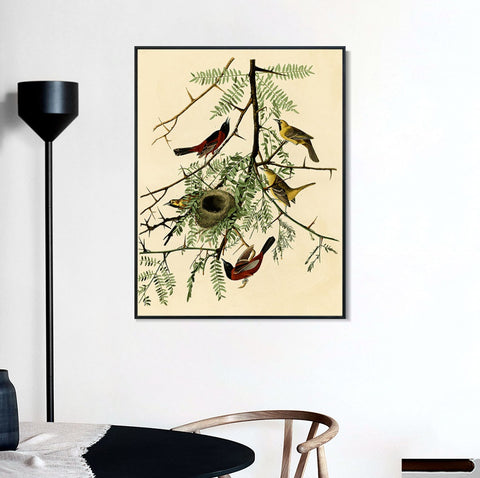 INVIN ART Framed Canvas Giclee Print Orchard Oriole by John James Audubon Wall Art Living Room Home Office Decorations