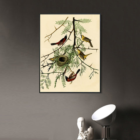 INVIN ART Framed Canvas Giclee Print Orchard Oriole by John James Audubon Wall Art Living Room Home Office Decorations