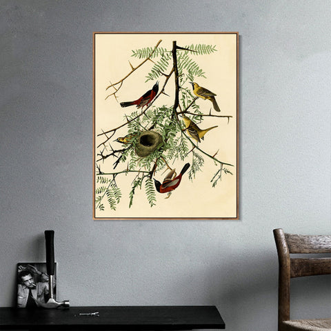 INVIN ART Framed Canvas Giclee Print Orchard Oriole by John James Audubon Wall Art Living Room Home Office Decorations