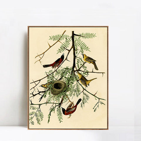 INVIN ART Framed Canvas Giclee Print Orchard Oriole by John James Audubon Wall Art Living Room Home Office Decorations