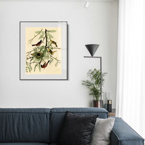 INVIN ART Metal Framed Canvas Giclee Print Orchard Oriole by John James Audubon Wall Art Living Room Home Office Decorations