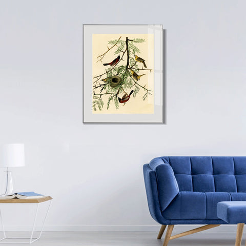 INVIN ART Metal Framed Canvas Giclee Print Orchard Oriole by John James Audubon Wall Art Living Room Home Office Decorations