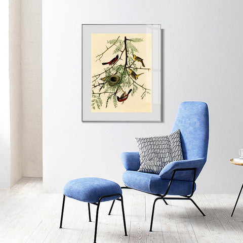 INVIN ART Metal Framed Canvas Giclee Print Orchard Oriole by John James Audubon Wall Art Living Room Home Office Decorations