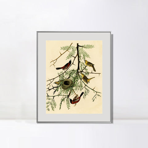 INVIN ART Metal Framed Canvas Giclee Print Orchard Oriole by John James Audubon Wall Art Living Room Home Office Decorations