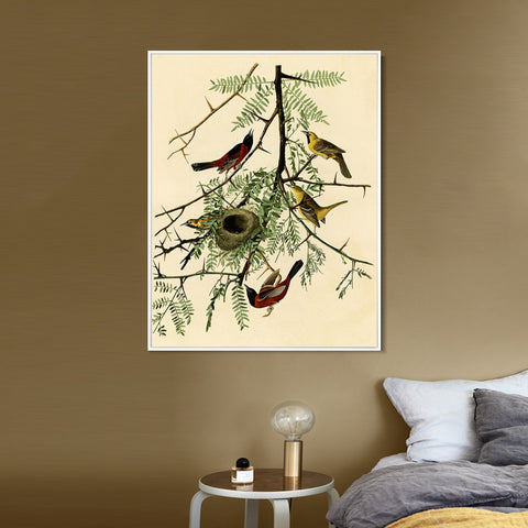 INVIN ART Framed Canvas Giclee Print Orchard Oriole by John James Audubon Wall Art Living Room Home Office Decorations