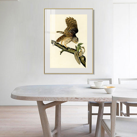 INVIN ART Metal Framed Canvas Giclee Print Series#047 by John James Audubon Wall Art Living Room Home Office Decorations