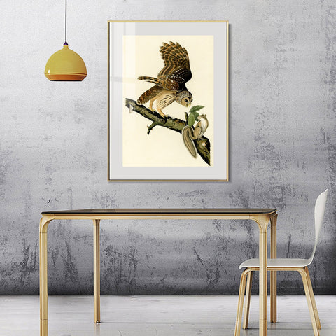 INVIN ART Metal Framed Canvas Giclee Print Series#047 by John James Audubon Wall Art Living Room Home Office Decorations