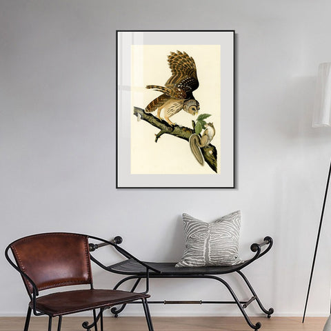INVIN ART Metal Framed Canvas Giclee Print Series#047 by John James Audubon Wall Art Living Room Home Office Decorations