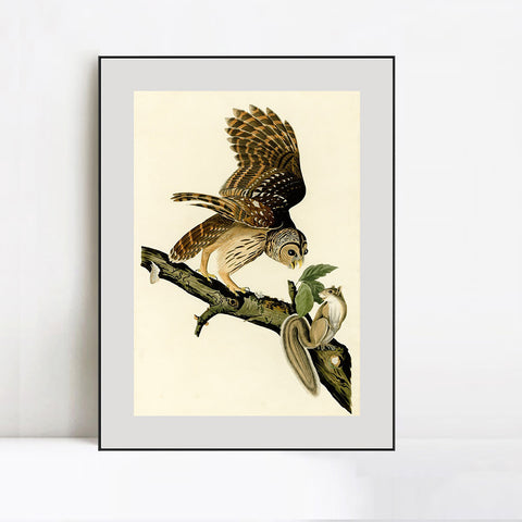 INVIN ART Metal Framed Canvas Giclee Print Series#047 by John James Audubon Wall Art Living Room Home Office Decorations