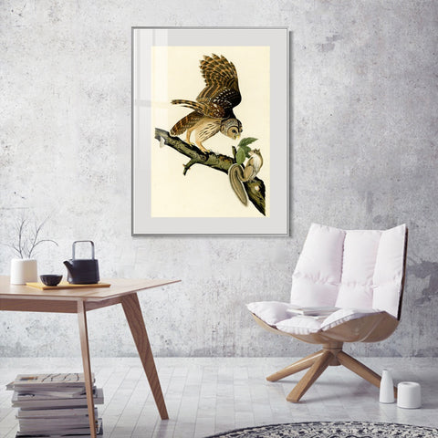 INVIN ART Metal Framed Canvas Giclee Print Series#047 by John James Audubon Wall Art Living Room Home Office Decorations