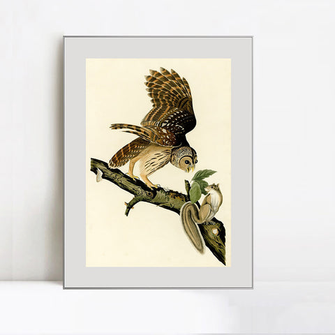 INVIN ART Metal Framed Canvas Giclee Print Series#047 by John James Audubon Wall Art Living Room Home Office Decorations
