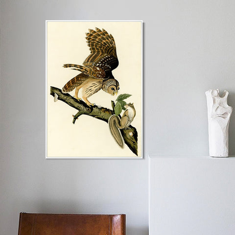 INVIN ART Framed Canvas Giclee Print Barred Owl by John James Audubon Wall Art Living Room Home Office Decorations