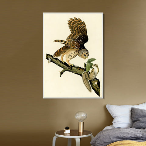 INVIN ART Framed Canvas Giclee Print Barred Owl by John James Audubon Wall Art Living Room Home Office Decorations