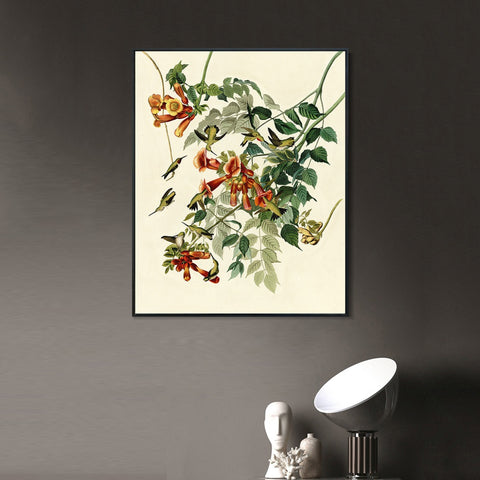 INVIN ART Framed Canvas Giclee Print Ruby throated Humming Bird by John James Audubon Wall Art Living Room Home Office Decorations